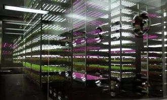 經(jīng)濟(jì)見(jiàn)底回升中的新經(jīng)濟(jì)亮點(diǎn) 生物制劑研發(fā)引領(lǐng)產(chǎn)業(yè)升級(jí)